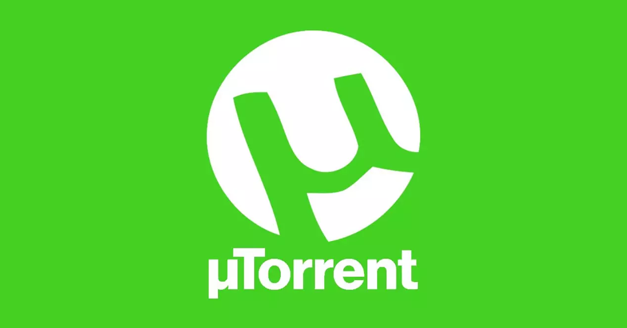 uTorrent Pro v3.6.0.47126 去除广告绿色便携版-蚂蚁杂铺