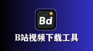 B站视频下载工具 biliDown v1.0.3-蚂蚁杂铺