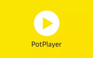 PotPlayer播放器 v1.7.22359绿色便携版-蚂蚁杂铺