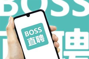 屏蔽 Boss 直聘猎头岗位工具-蚂蚁杂铺