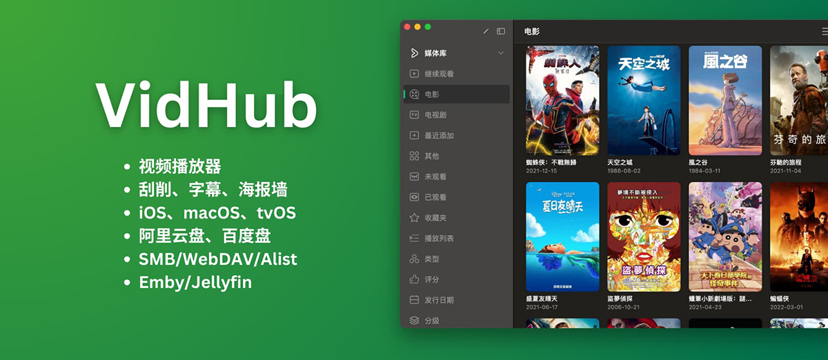 全能播放神器 VidHub / 支持 iOS & macOS & tvOS-蚂蚁杂铺