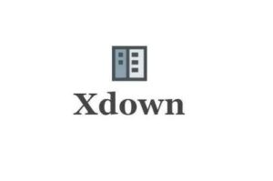 Xdown v2.0.8.5 免费强大Torrent/百度云/磁力链下载器-蚂蚁杂铺