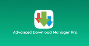 ADM Pro – 安卓最好用的多线程加速下载神器 支持BT、磁力下载-蚂蚁杂铺