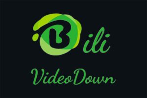 BiliVideoDown-开源 B 站视频下载器-蚂蚁杂铺