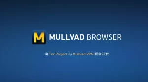 Mullvad Browser 13.5 隐私浏览器 for Win & Mac &linux-蚂蚁杂铺