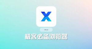 X浏览器 4.8.1内置油猴玩机必备-蚂蚁杂铺