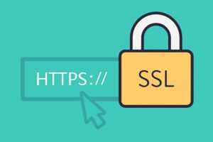 Certimate ：开源的SSL证书管理工具 自动续期及申请-蚂蚁杂铺