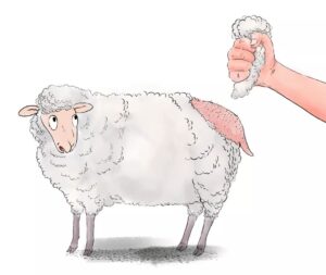 一个帮你省钱的 AI-羊毛书-蚂蚁杂铺