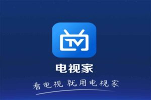 电视TV软件 电视家5.0升级版-蚂蚁杂铺