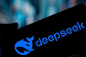 DeepSeek 本地部署整合包 + 清华大学DeepSeek使用手册-蚂蚁杂铺
