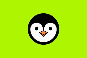 小企鹅播放器（原小鹿）重磅回归：支持SMB/IPTV/本地视频的iOS多功能媒体中心-蚂蚁杂铺